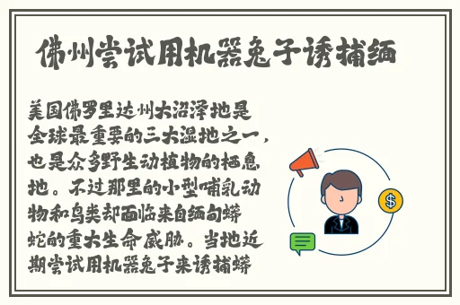 窝窝影院午夜看片毛片